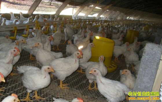 ��������ÿ�¶�׬1��Ԫ���������׬Ǯ������Щ���գ�