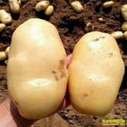 ��Ʒ������������,һ����������,ÿĶÿ������5000���