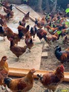 �Ĵ����ݶ������͸�Сٻ���޷����������괿����6��Ԫ