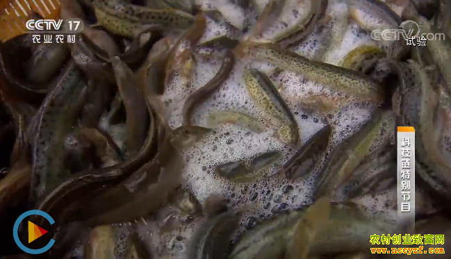 [�Ƽ���]����������Ʒ������