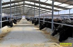 �ຣ��ѧ������ţ����10��Ԫ�ĲƸ��ؼ�