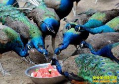 ����Ϣ������ΰ���紴ҵ����ȸ���ֵ120����Ԫ