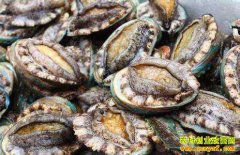 ����۸�������ֳһ�������200Ԫ�������ƽ�Ϊ�����۴����