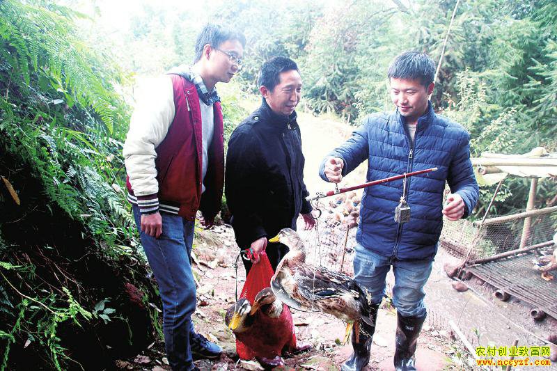 �Ĵ����ݳ���Ԫ���紴ҵɽ������Ѽһ��10��Ԫ