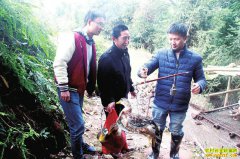 �Ĵ����ݳ���Ԫ���紴ҵɽ������Ѽһ��10��Ԫ