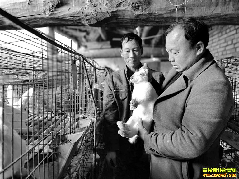 ������׬Ǯ��Ͷ�������տ죬���������������¸���