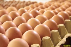 2020��3��13��ȫ�������۸�����