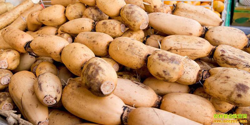 2019��12��26�������г���ź�۸�����