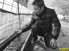 �㽭������������Ҷ����ת���ɡ����ܴ��ˡ�