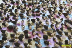 �Ĵ������أ���ֲ��Ǿ��ſ���ƶ�¸���ɡ��