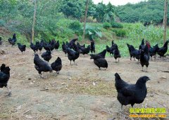 �Ĵ���������Ⱥ���紴ҵ���ڼ��̿Ǽ������ú�