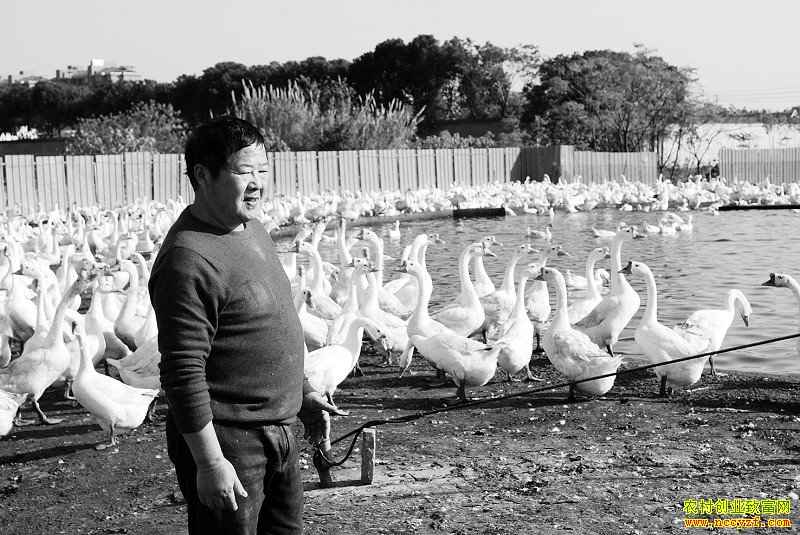 �㽭��Ҧ����˾��¹�����ֳ��׶��¸�