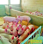 һλ�����ĵ��¸�����׬Ҳ����Ҳ���������Ϻ�����