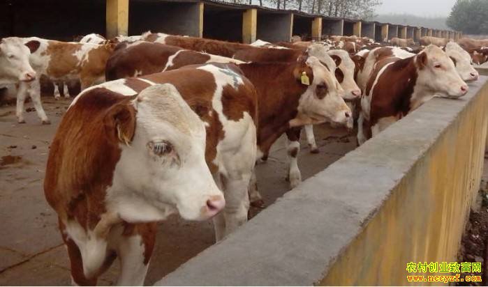 �Ĵ��ന��ɡ����ࡱ��ʽ��ţ һ������1.8��