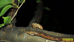 �������أ������������ũ��ÿĶ���չ���Ԫ