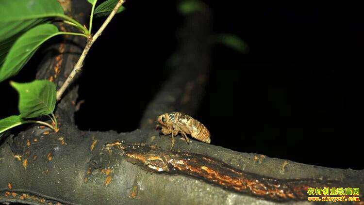 �������أ������������ũ��ÿĶ���չ���Ԫ