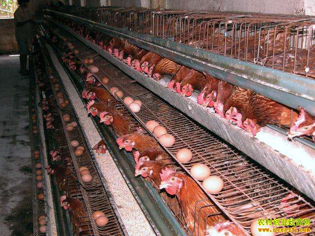 ɽ�������ش���ǿ��������һ���¸�·