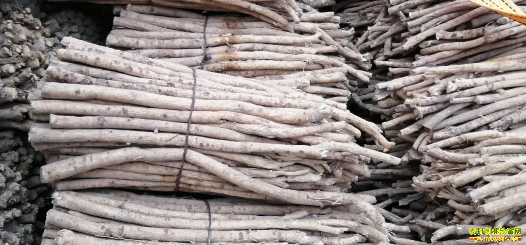 ������μ۸�ɽ��۸�28Ԫ/kg