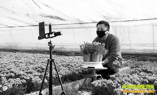 ɽ��۰�ǻ�ũ��˧ֱ�����ʻ�һ������2000��