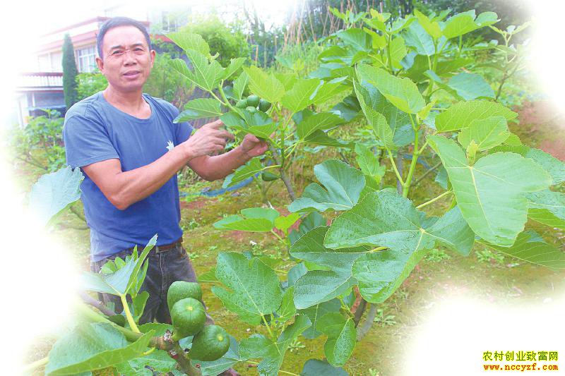 �Ĵ���������鷵�紴ҵ��ֲ�޻���Ķ����5000Ԫ