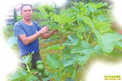 �Ĵ���������鷵�紴ҵ��ֲ�޻���Ķ����5000Ԫ