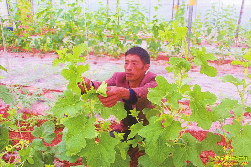 �Ĵ������������������������������ǧԪ