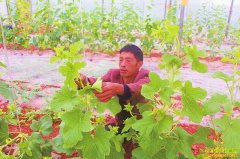 �Ĵ��������������������������Ķ������ǧԪ