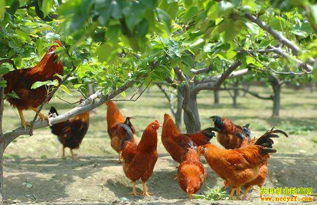 ���ݿ��������������������ġ����¸�·