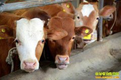 �������������������紴ҵ��ţ����ţ�ġ�������ţ����ҵ