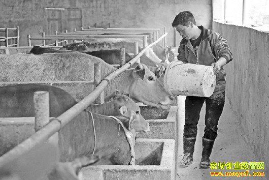 �����˴�֣��ƽ��ţ��ҵ�¸�