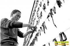 ɽ��۰�ǳ¾�ΰ��ֳ���Ч���