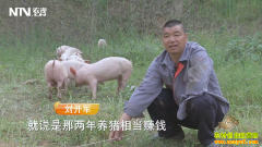 [�¸���]��������������������һֻ�ֳ���Ƹ�����