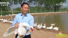 [�¸���]���հ������ǿ��ֳ��Ѽ����Ƿ��Ƹ�