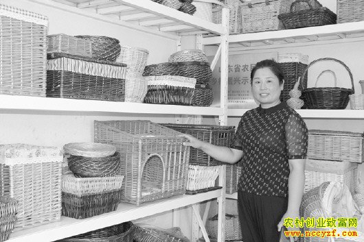 ɽ��۰���������������֯һ������������Ԫ