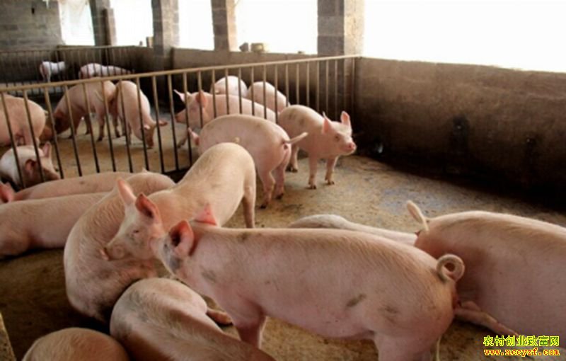 ɽ����̨�ؽ����ϰ��ﻯ����������̽����ҵ��ƶ��·