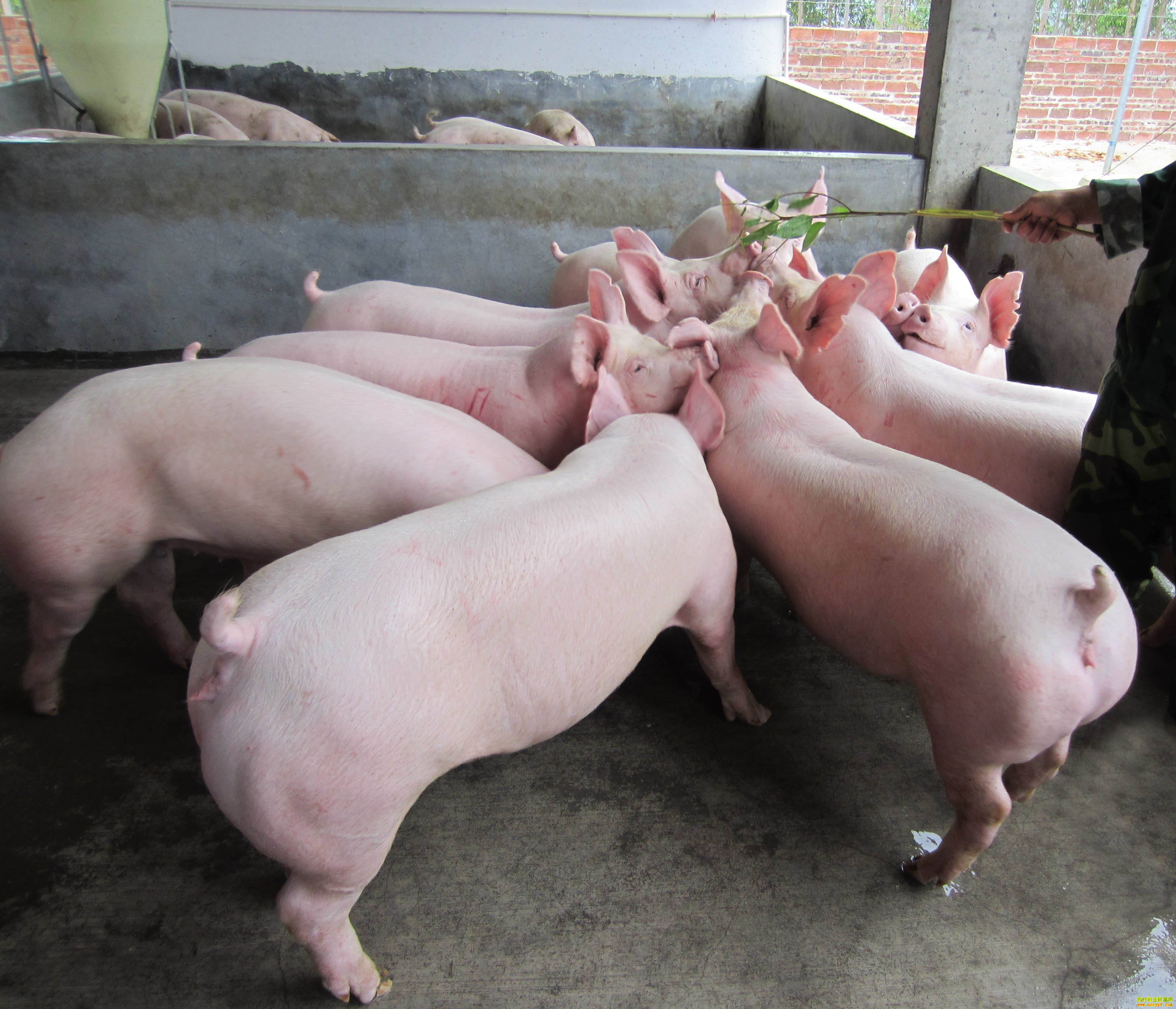 2020��7���������չ����˿�ʼ��ʵ����֤��