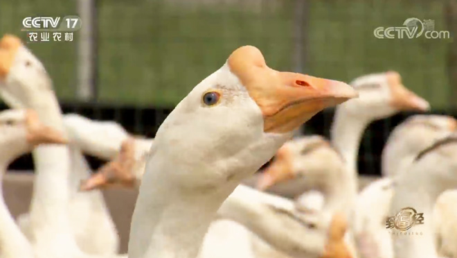 [�¸���]���հ����ܹ������첻��Ѱ��·