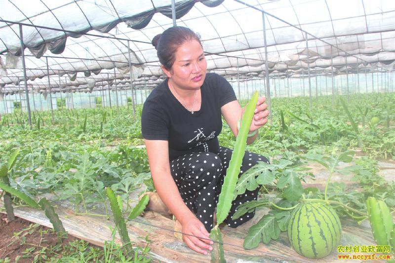 �Ĵ�������С��������԰��������Ч���