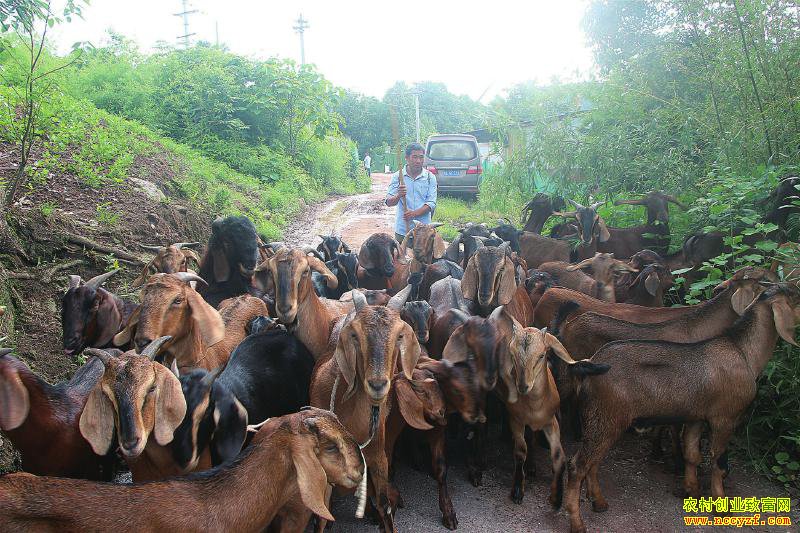 �Ĵ���������Թ�ת�ÿ� ���򲻳���