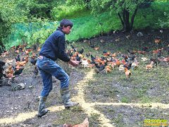 �Ĵ����ӣ�����ţ�����ؼ� ����������Ч��