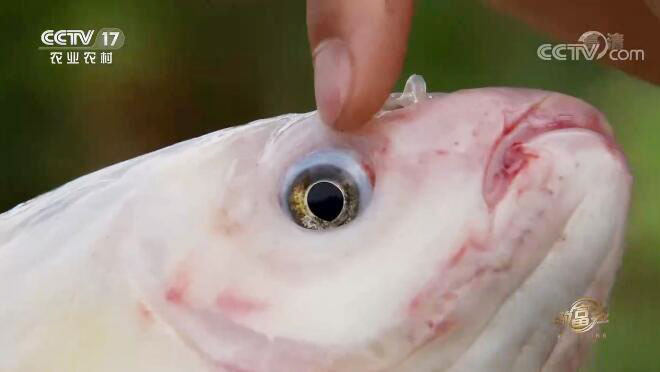 [�¸���]�����������·����������׬Ǯ�и���