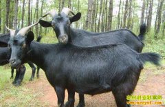 �Ĵ����ݳº�����ֳ��ɽ��һ���׬20��Ԫ