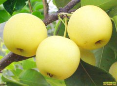 �Ĵ�������ʡ����ֲ�ƽ����¸�����Ѱ��·