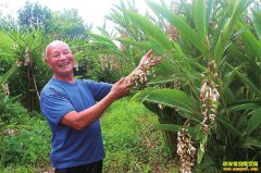 �Ĵ����ݰ�Ѯ������������ֲɰ��10Ķ�ض���3��Ԫ