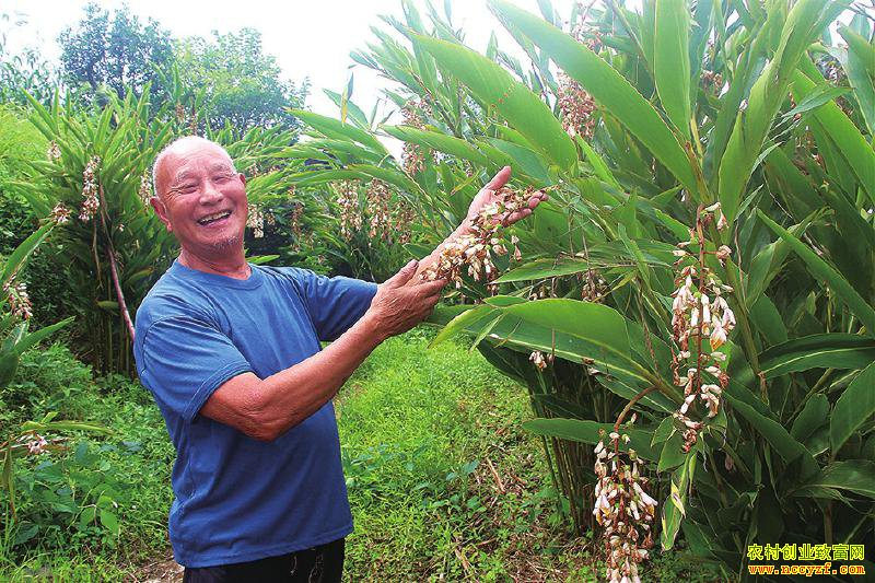 ��ֲɰ��׬Ǯ�𣿰�Ѯ������ɰ��10Ķ�ض���3��Ԫ