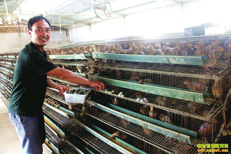 �Ĵ�����������Ӧ���з����ȵס�������Ҳ׬Ǯ