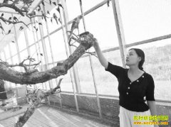 ɽ��������ٻ����������ǧԪ