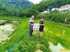 �����׺����棺�ӽ�����������ֳ�󻧵��¸�֮·