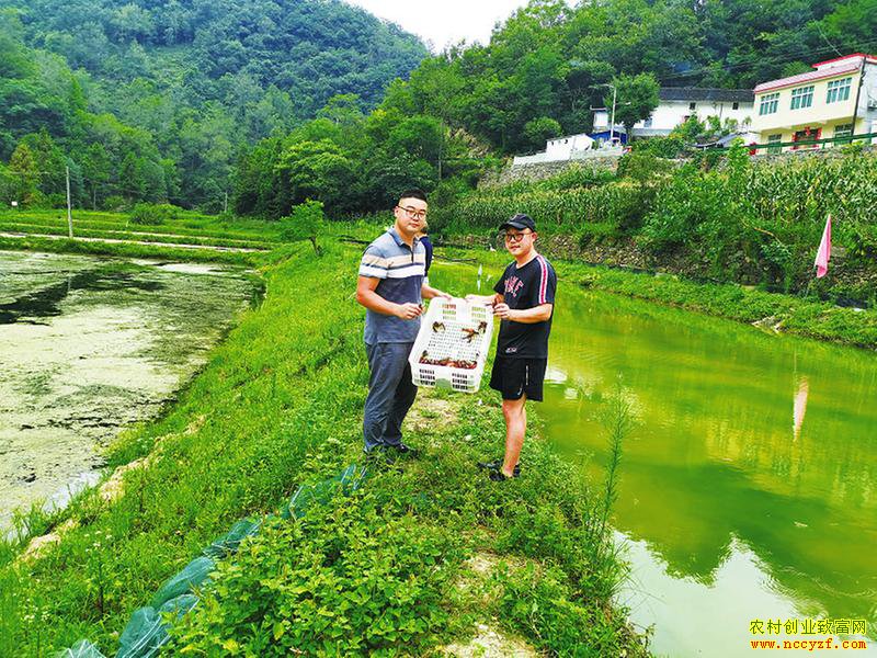 ���棺�ӽ�����������ֳ�󻧵��¸�֮·