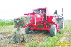 ��ֲ����׬Ǯ�𣿰������� ���ո���